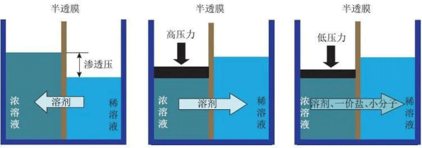 1695622204062.jpg